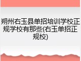 朔州右玉县单招培训学校正规学校有那些(右玉单招正规校)