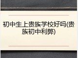 初中生上贵族学校好吗(贵族初中利弊)