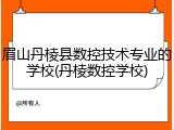 眉山丹棱县数控技术专业的学校(丹棱数控学校)