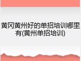 黄冈黄州好的单招培训哪里有(黄州单招培训)