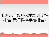 玉溪元江数控技术培训学校排名(元江数控学校排名)