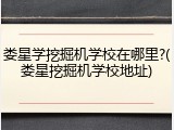 娄星学挖掘机学校在哪里?(娄星挖掘机学校地址)