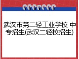 武汉市第二轻工业学校 中专招生(武汉二轻校招生)