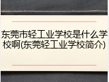 东莞市轻工业学校是什么学校啊(东莞轻工业学校简介)