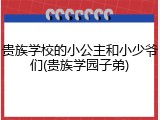 贵族学校的小公主和小少爷们(贵族学园子弟)