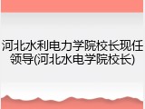 河北水利电力学院校长现任领导(河北水电学院校长)