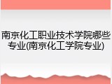 南京化工职业技术学院哪些专业(南京化工学院专业)