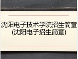 沈阳电子技术学院招生简章(沈阳电子招生简章)