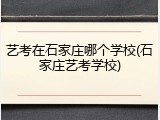 艺考在石家庄哪个学校(石家庄艺考学校)