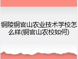 铜陵铜官山农业技术学校怎么样(铜官山农校如何)