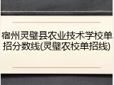 宿州灵璧县农业技术学校单招分数线(灵璧农校单招线)
