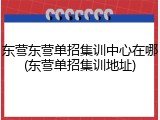 东营东营单招集训中心在哪(东营单招集训地址)