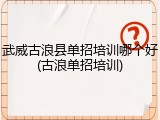 武威古浪县单招培训哪个好(古浪单招培训)
