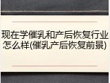 现在学催乳和产后恢复行业怎么样(催乳产后恢复前景)