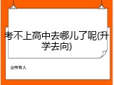 考不上高中去哪儿了呢(升学去向)