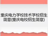 重庆电力学校技术学校招生简章(重庆电校招生简章)