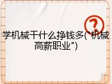学机械干什么挣钱多("机械高薪职业")
