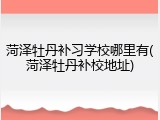 菏泽牡丹补习学校哪里有(菏泽牡丹补校地址)