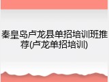 秦皇岛卢龙县单招培训班推荐(卢龙单招培训)
