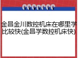 金昌金川数控机床在哪里学比较快(金昌学数控机床快)