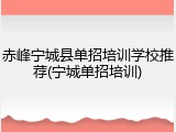 赤峰宁城县单招培训学校推荐(宁城单招培训)