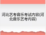 河北艺考音乐考试内容(河北音乐艺考内容)