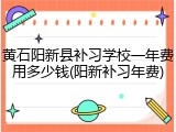 黄石阳新县补习学校一年费用多少钱(阳新补习年费)