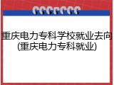 重庆电力专科学校就业去向(重庆电力专科就业)