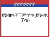 梧州电子工程学校(梧州电子校)