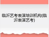 临沂艺考表演培训机构(临沂表演艺考)