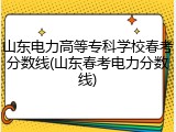 山东电力高等专科学校春考分数线(山东春考电力分数线)