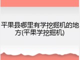 平果县哪里有学挖掘机的地方(平果学挖掘机)