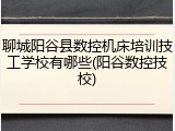 聊城阳谷县数控机床培训技工学校有哪些(阳谷数控技校)