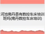 河池南丹县有数控车床培训班吗(南丹数控车床培训)