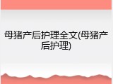 母猪产后护理全文(母猪产后护理)