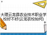 大理云龙县农业技术职业学校好不好(云龙农校如何)