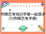 传媒艺考培训学费一般是多少(传媒艺考学费)