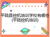 平陆县挖机培训学校有哪些(平陆挖机培训)