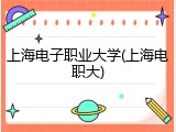 上海电子职业大学(上海电职大)