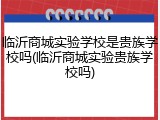 临沂商城实验学校是贵族学校吗(临沂商城实验贵族学校吗)