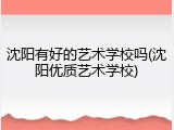 沈阳有好的艺术学校吗(沈阳优质艺术学校)