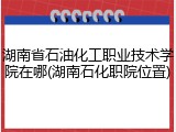 湖南省石油化工职业技术学院在哪(湖南石化职院位置)