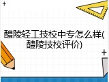 醴陵轻工技校中专怎么样(醴陵技校评价)