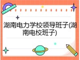 湖南电力学校领导班子(湖南电校班子)