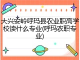 大兴安岭呼玛县农业职高学校读什么专业(呼玛农职专业)