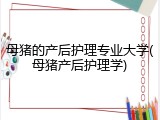 母猪的产后护理专业大学(母猪产后护理学)