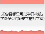 乐安县哪里可以学开挖机?学费多少?(乐安学挖机学费)