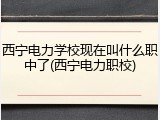 西宁电力学校现在叫什么职中了(西宁电力职校)