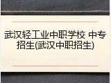 武汉轻工业中职学校 中专招生(武汉中职招生)