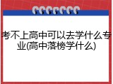 考不上高中可以去学什么专业(高中落榜学什么)